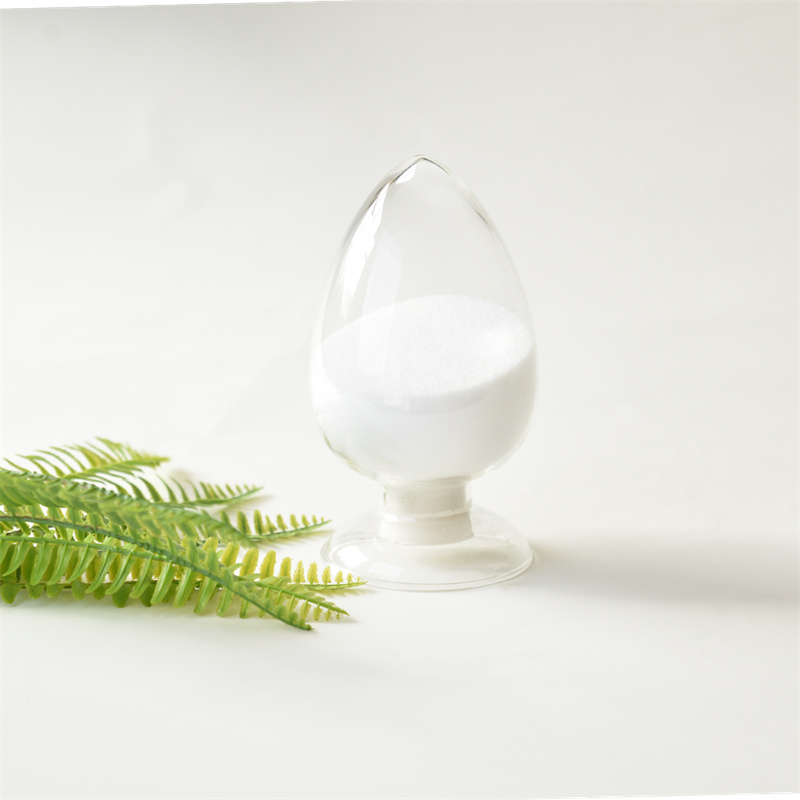 អាស៊ីតអាសុីត 3-CHLORO-2,2-DIMETHYLPROPIONIC CAS 13511-38-1